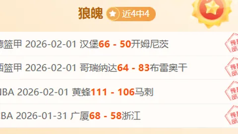 勒沃库森击败海登海姆，进球大战盛况空前